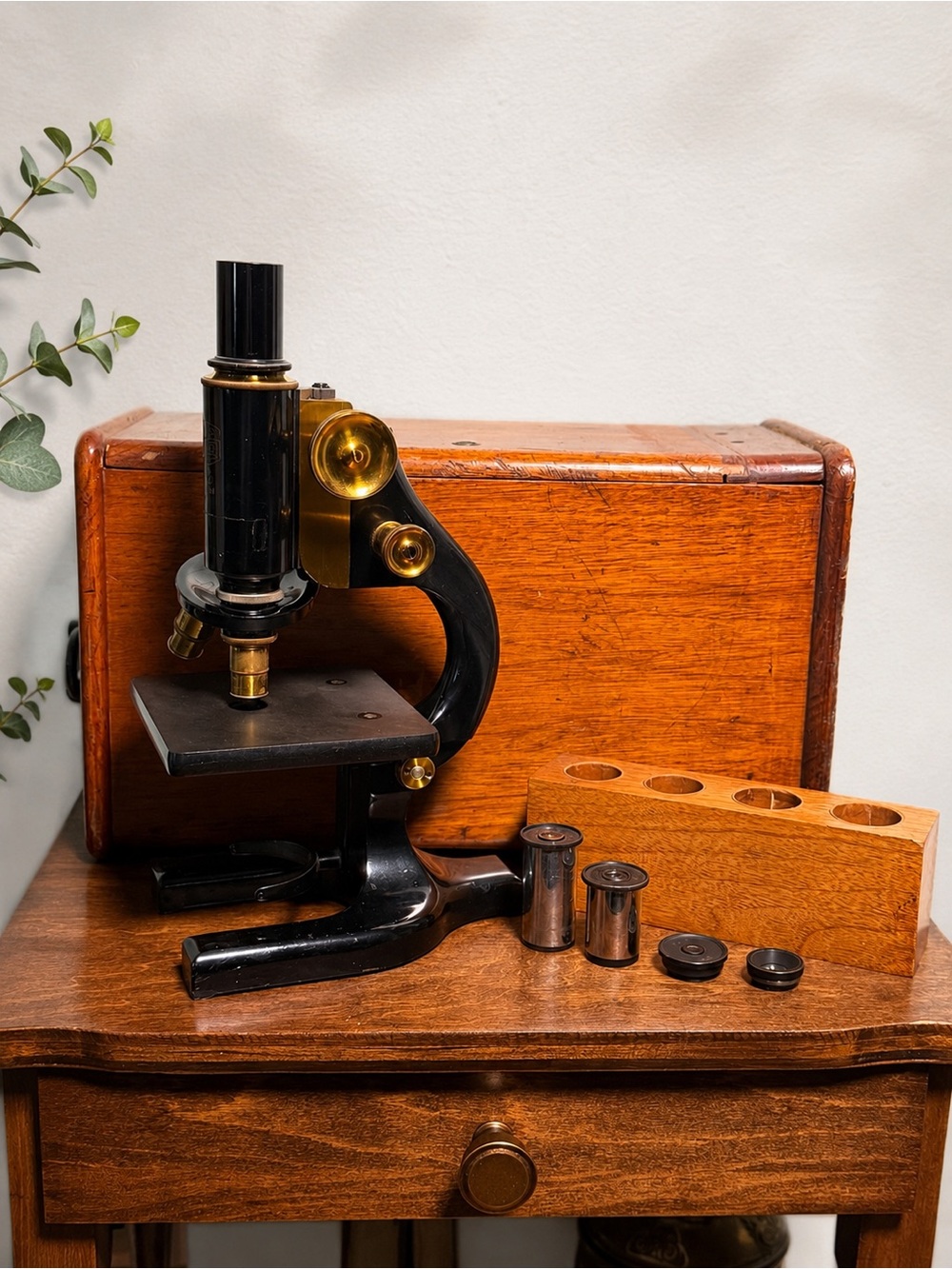 Vintage Spencer Buffalo Microscope Original Case 2 Objectives 3 Eyepieces